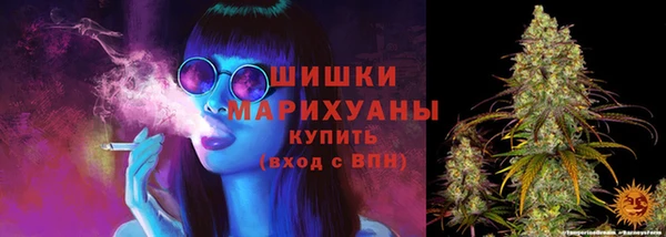 сатива Дмитриев