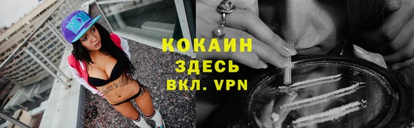 мдпв Дмитровск