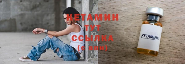сатива Дмитриев