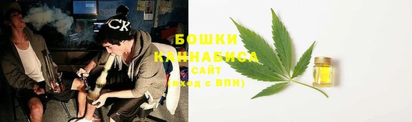 сатива Дмитриев