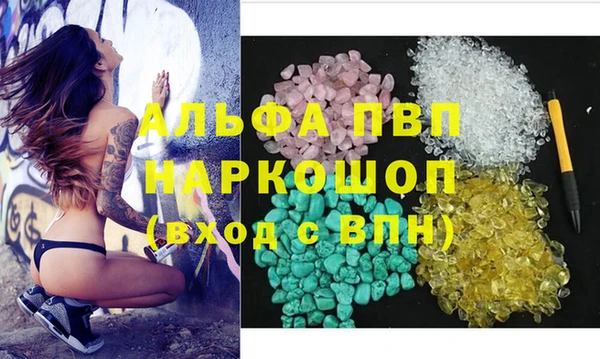 сатива Дмитриев