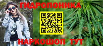 стаф Волгодонск