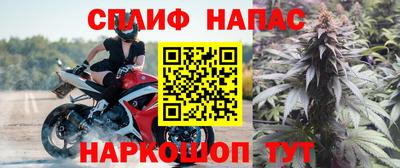 гашик Волжский