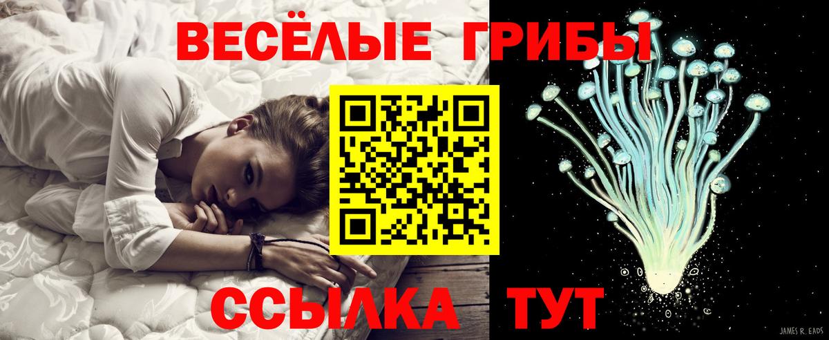 Галлюциногенные грибы прущие грибы  Вход с VPN  Галлюциногенные грибы Cubensis  Дубна 